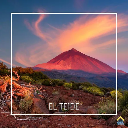 Sunset Dream Great Views Lejlighed