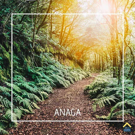 Sunset Dream Great Views