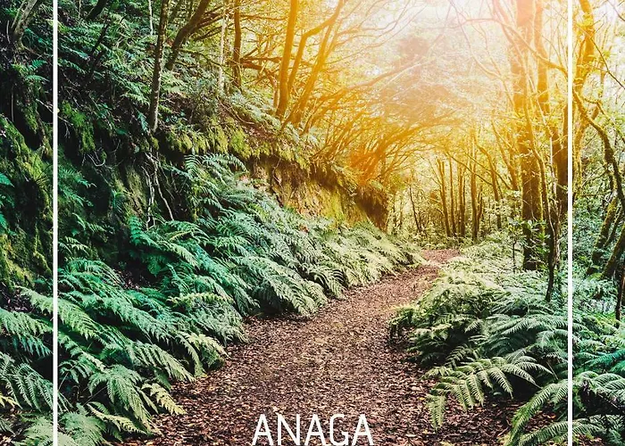 Sunset Dream Great Views